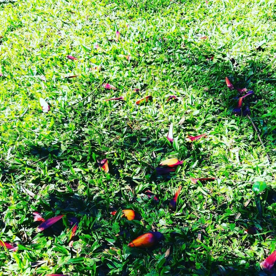 Pousada Serras De Monte Verde Monte Verde  Bagian luar foto